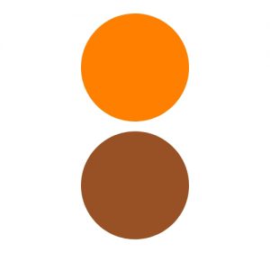 Accesorii pentru cercei Orange - Maro